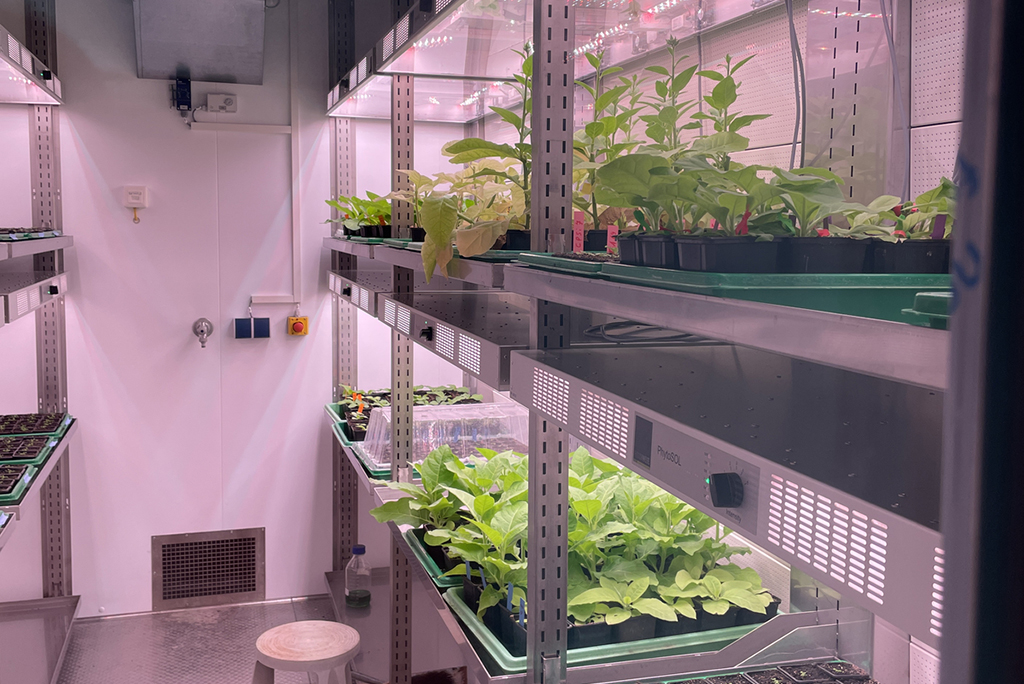 Höchste Präzision: Klimakammern mit exakt definierten Temperatur- und Luft­feuchtigkeitswerten