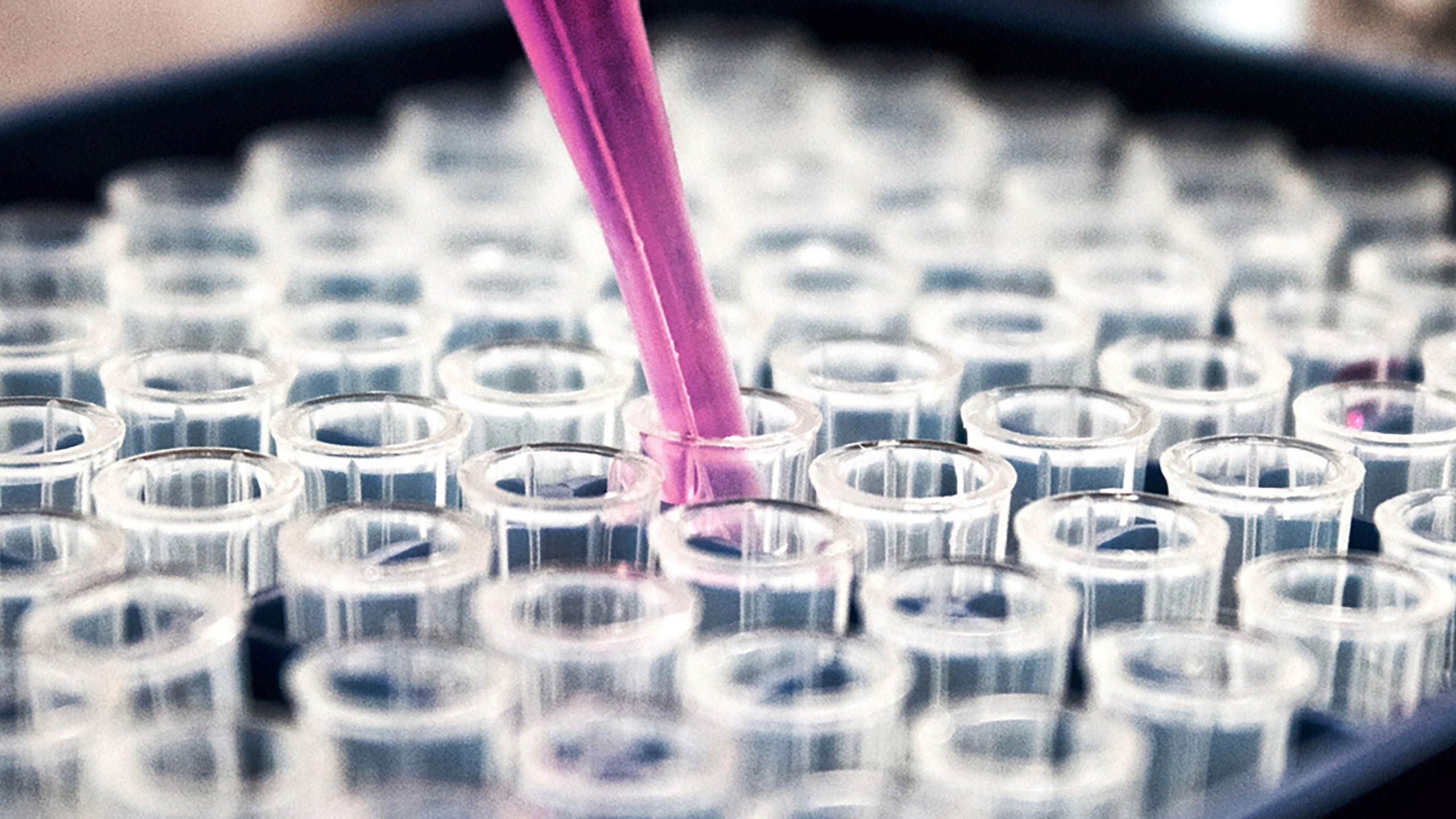 Reinraumtechnik vom Feinsten für GSK Glaxo­Smith­Kline Bio­logicals in Marburg